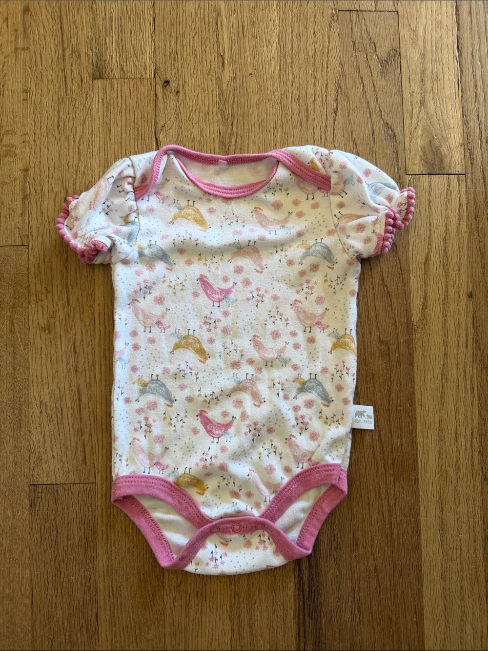 Rugged Bear Baby Girl Farmhouse Chicken Print Bodysuit Pink Pom Pom Trim 9-12Mon